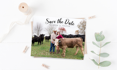Cow Save The Date Magnet